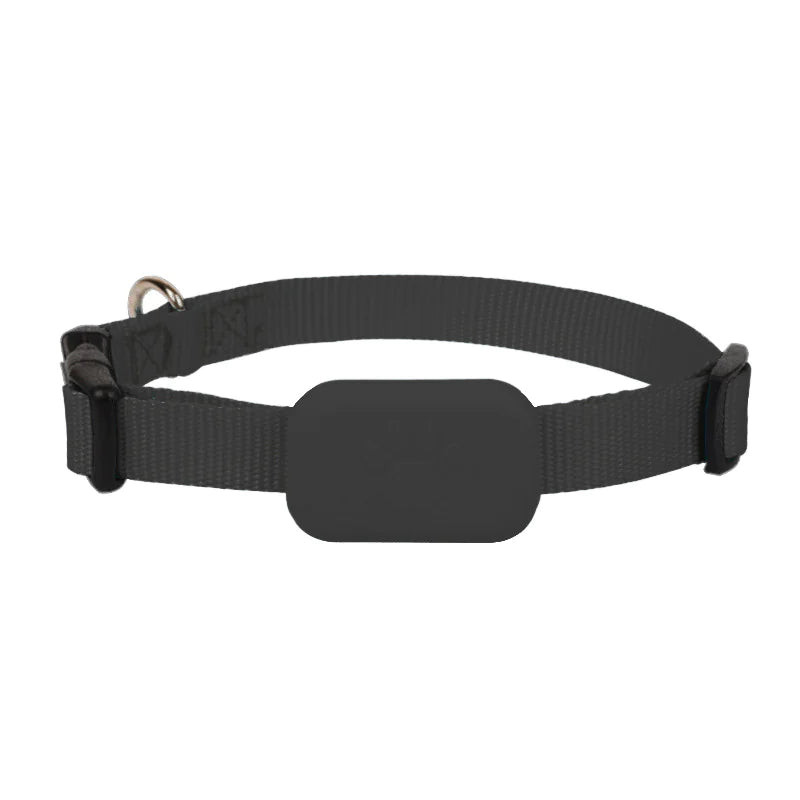 Smart Pet Tracker Collar